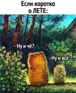 046b2c3ace2402914b434de223bc21d1.jpg