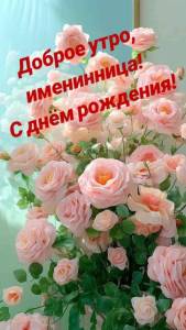 04829aab3781f056297c7f8518442ede.jpg