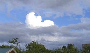 1.thumb.JPG.00235081fdb2969afddc03e6a6ed1e18.JPG