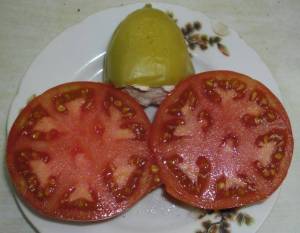 1.thumb.JPG.05123c0f4bb1f4f32cef9e46738daf70.JPG