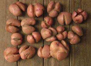 1.thumb.JPG.3d94029413010c9adbb8d4357666f1b8.JPG