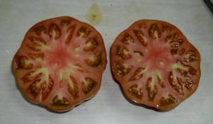 1.thumb.JPG.eb0cb6483dd08d386e4edf6931e3d465.JPG