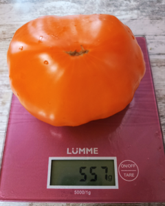 Скриншот 31.08.25_19.21.49.png
