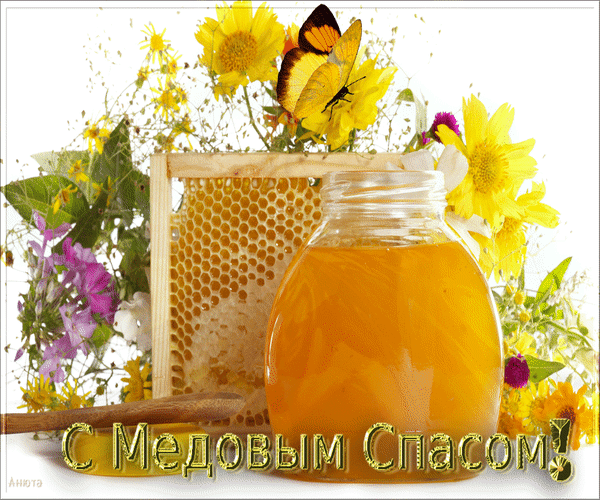 s-medovym-spasom (1).gif