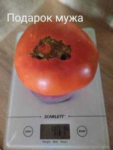 IMG_20250806_174620~2.jpg