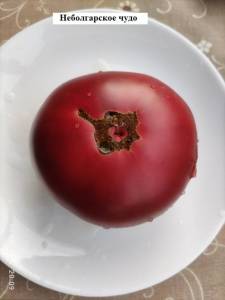 1724578562_6_08_2025.thumb.jpg.267fcf7ccef3e1c5d7ac8ebe9833c92c.jpg