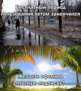 1725169582189329739.thumb.jpg.0e13731dd4e2ecc5b76eaf7fa48c7b49.jpg