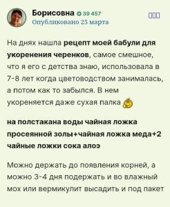 1754977087671.thumb.jpg.80fcc569dd641c9d6b5e3a98cd5f2830.jpg