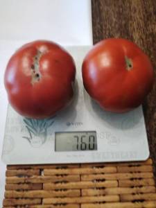 1793679502_().thumb.jpg.ed674b5743503d8c5af6f3088bd93e79.jpg