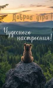 17f446194c98154dbd11b61f8dc92b48.thumb.jpg.557be3bc0b2db1fe151a1a7db6d591c3.jpg