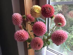 1F34F808-6045-4292-87DF-42E199530C87.jpeg