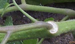 2.thumb.JPG.ea6eaa9b41bf2f8e43fe552894ae84bd.JPG