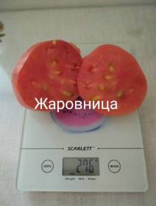 IMG_20250802_123322~2.jpg