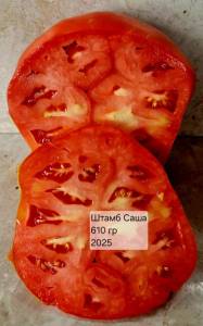 20250804_140804.jpg