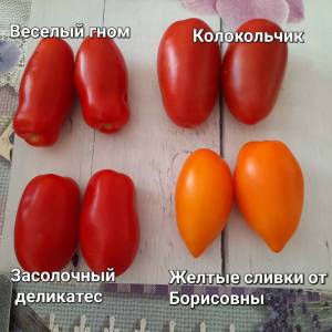 20250805_134658.jpg