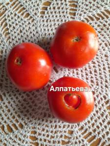 20250807_145657.jpg