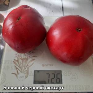 20250808_163731.jpg