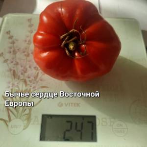 20250808_170823.jpg