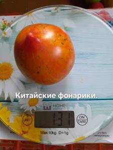20250811_111659.jpg