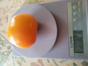 20250812_153945.thumb.jpg.c3c8d5a4636ff45a5f8562a70fe61149.jpg