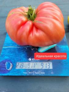 20250813_135748.jpg