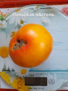 20250815_110220.jpg