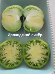 20250820_104240.jpg