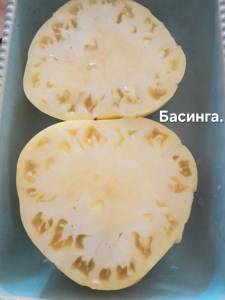 20250820_120216.jpg