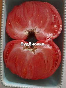 20250820_122121.jpg
