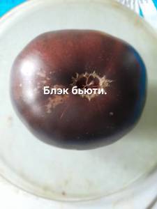 20250820_134020.jpg