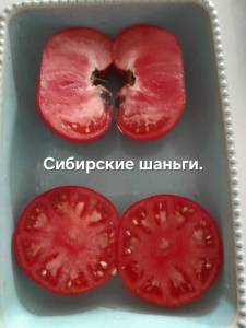 20250820_135739.jpg