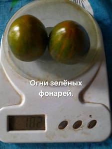 20250820_140505.jpg