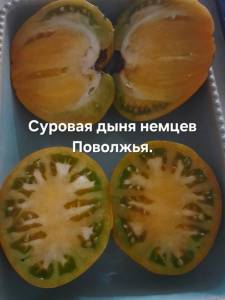 20250820_143157.jpg