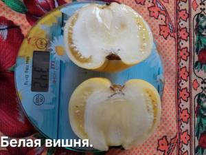20250822_093318.jpg