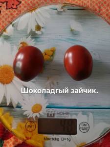 20250822_094807.jpg