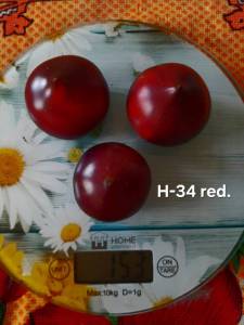 20250822_104648.jpg