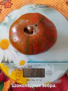 20250822_114011.jpg