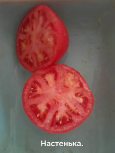 20250822_121513.jpg