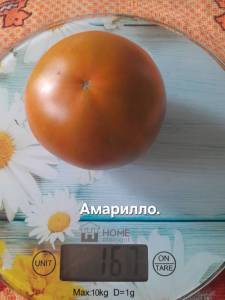 20250824_124634.jpg