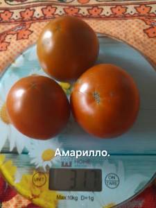 20250824_124736.jpg