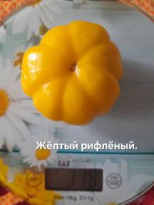 20250824_130521.jpg