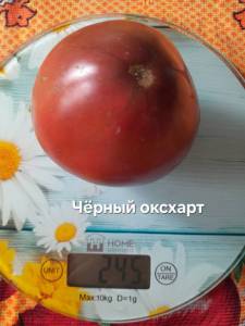 20250824_143401.jpg