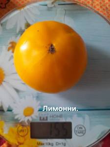 20250824_152923.jpg