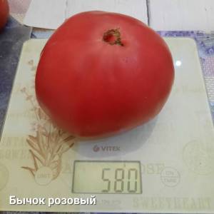 20250825_230032.jpg
