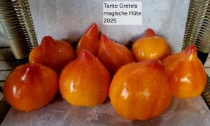 20250827_184145.jpg