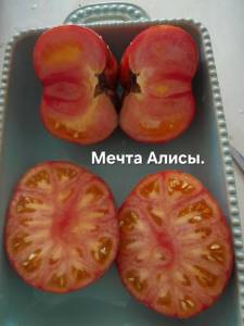 20250831_132316.jpg