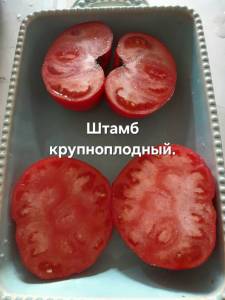 20250831_135807.jpg