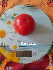 20250831_141303.jpg