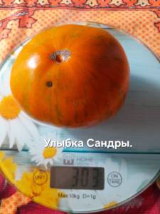 20250831_143834.jpg