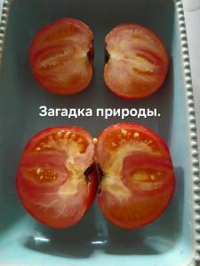 20250831_153931.jpg